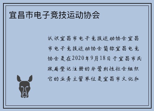 宜昌市电子竞技运动协会